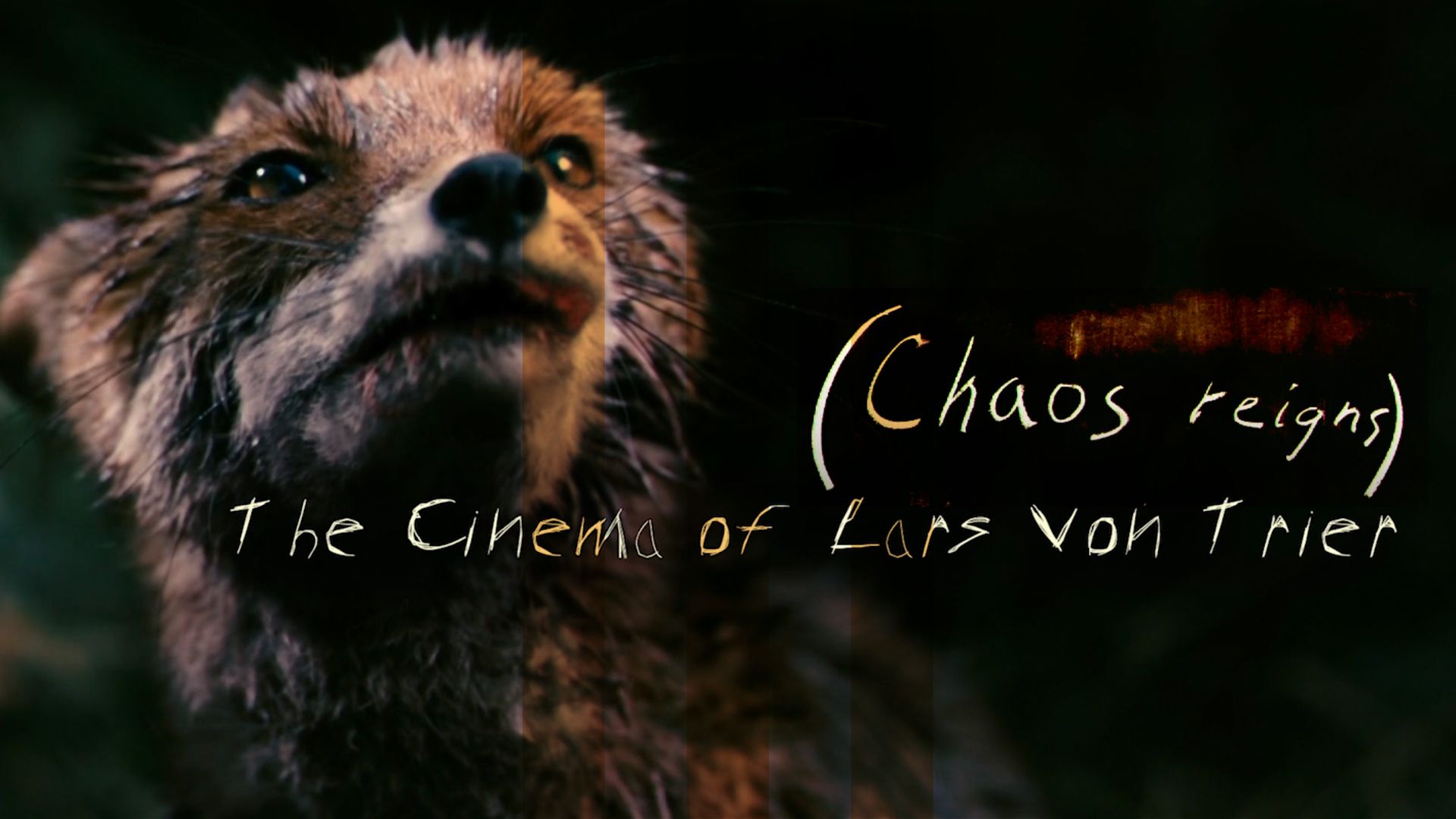 Chaos Reigns The Cinema Of Lars Von Trier Lab111 3965